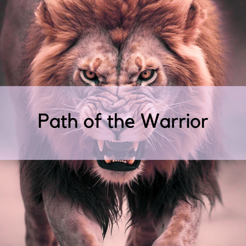 The Path of the Warrior